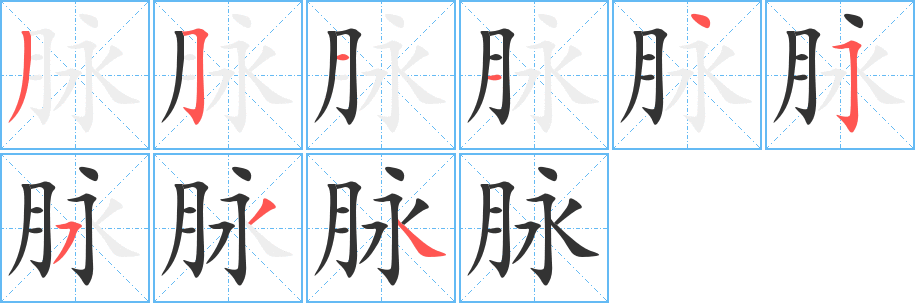 脉 脉