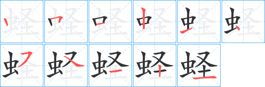蛏 蛏