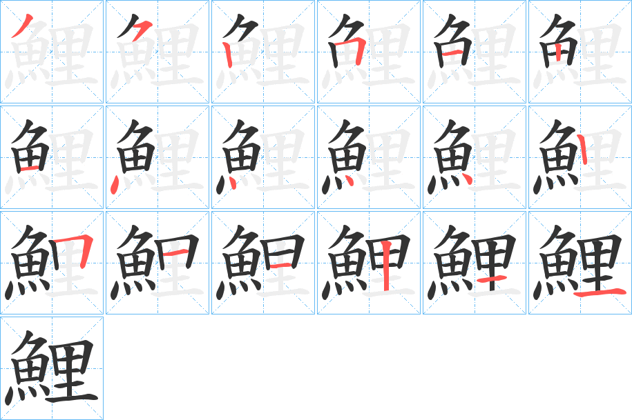 鯉 鯉