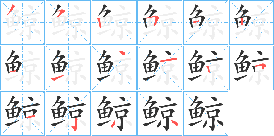 鲸 鲸