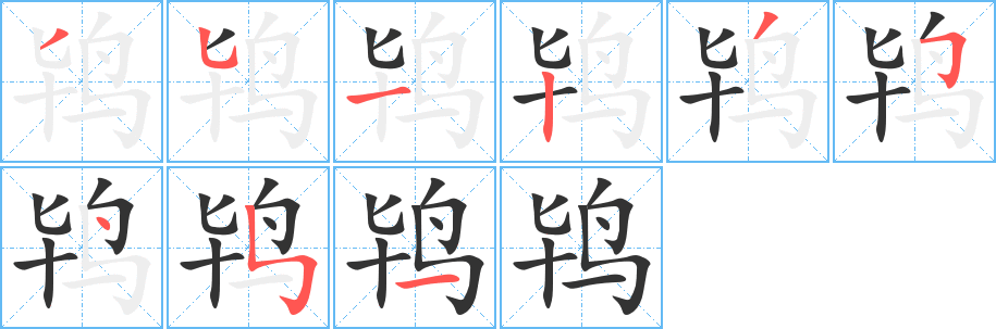 鸨 鸨